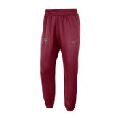 USC Trojans Men's Nike Cardinal SC InterlockDri-FIT Spotlight Pant